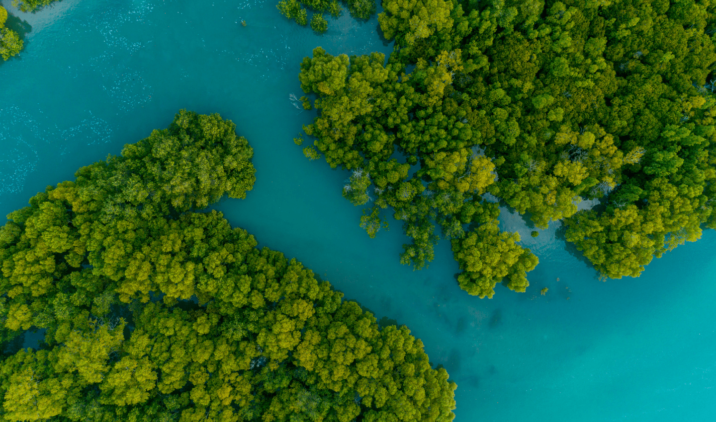 Ocean Generation - New Website - Imagery (1)