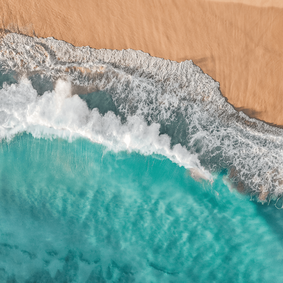 OceanGeneration-Homepage-DonateToProtectOcean