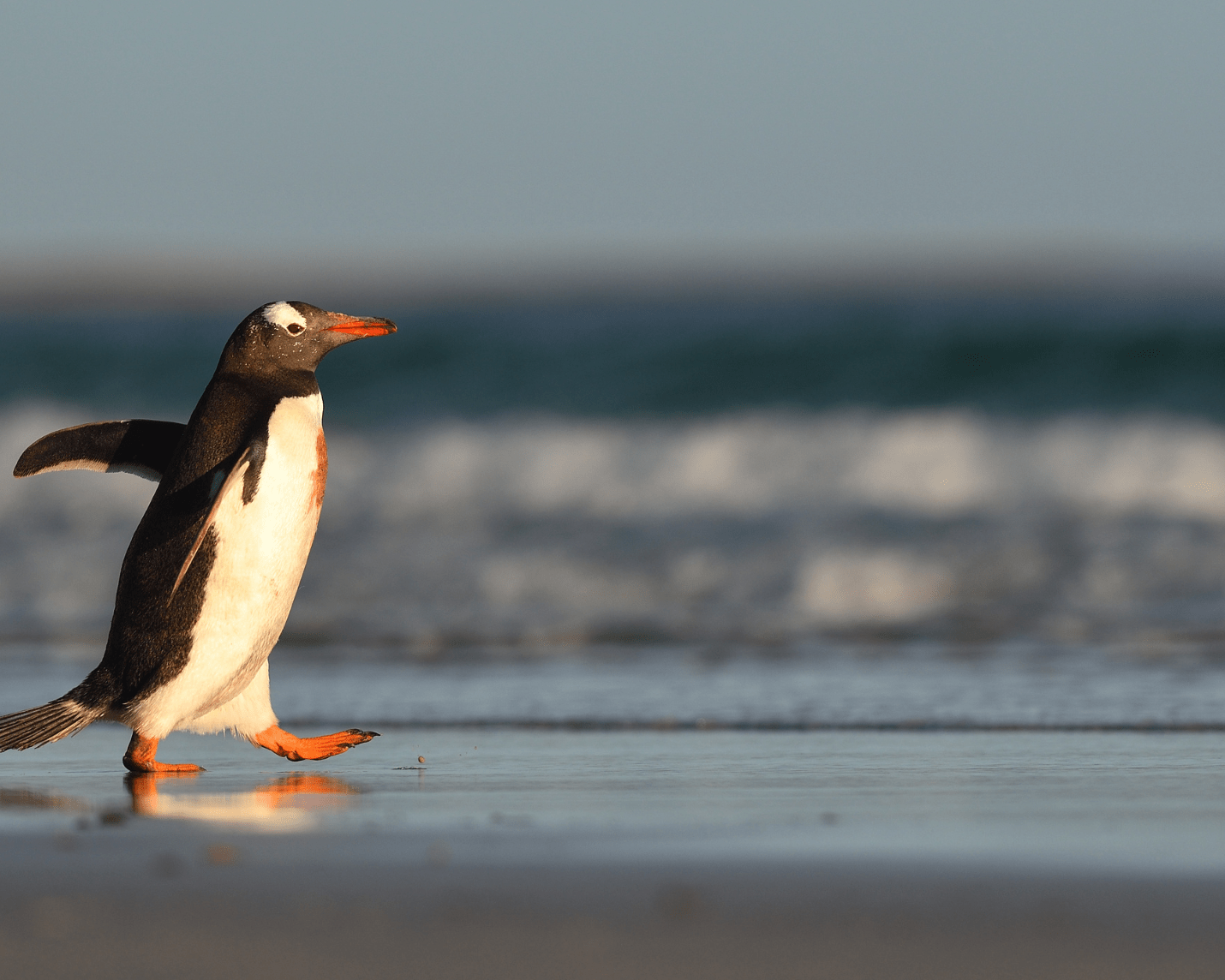 OceanGeneration_OurImpact2