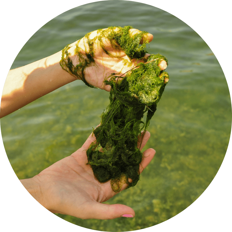 ScienceHub-OurFuture