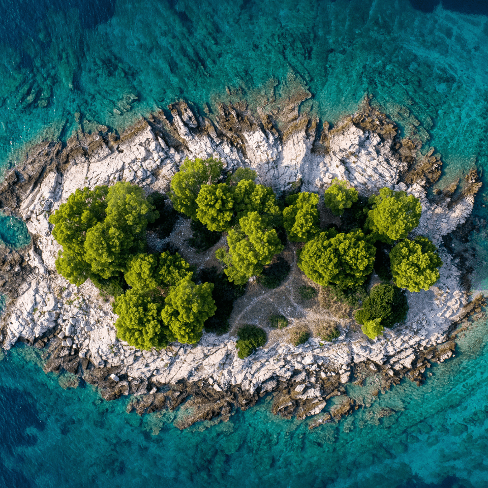 ocean-generation-anya-what-ocean-means-to-islanders