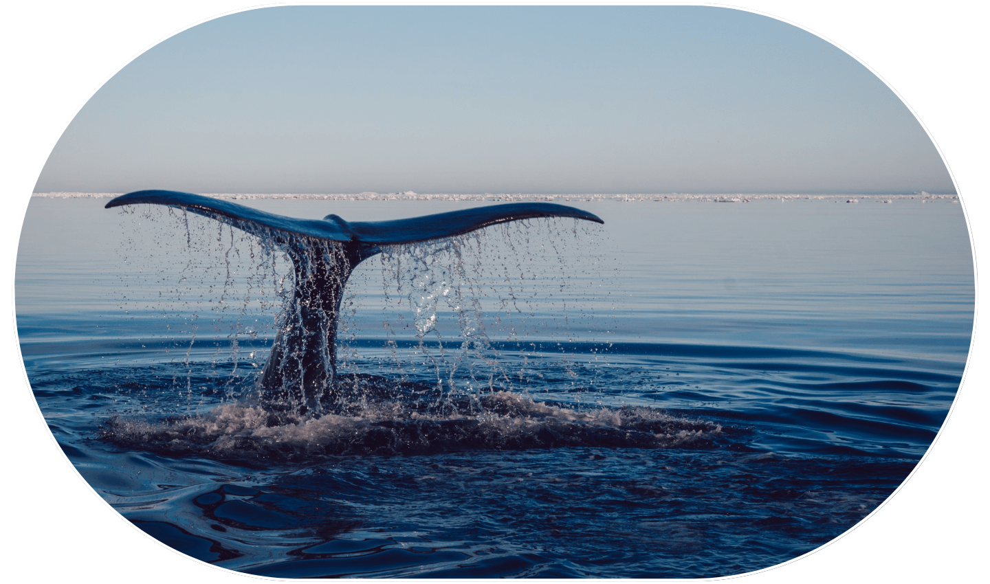 collaborations-ocean-generation (1)