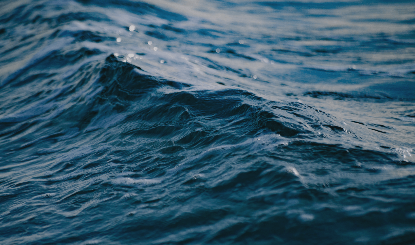 ocean-generation-position-ngo-partnerships