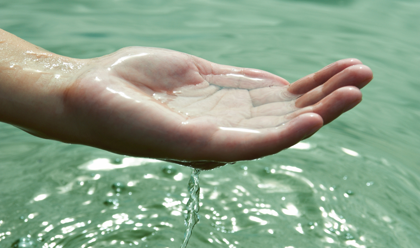 8 Ocean actions you can take this world Ocean Day (1)