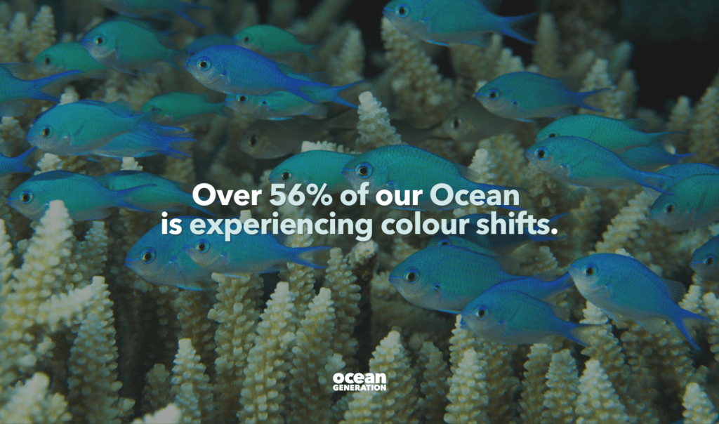 More than half of the Ocean is turning green. It's changed colour in the last 20 years, becoming more green than blue. That's more than Earth's total land area. The culprit is climate change. Ocean Generation has translated the report into an easy read.