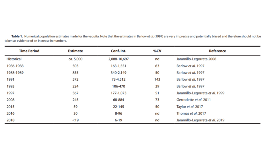 A table showing vaquita populations over time, from around 245 vaquitas in 2008 to less than 19 in 2019. There are less than 20 vaquitas in the world.