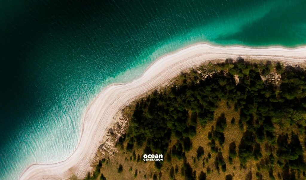 Our Ocean provides all the fundamental resources that we need to survive. Written by Ocean Generation.