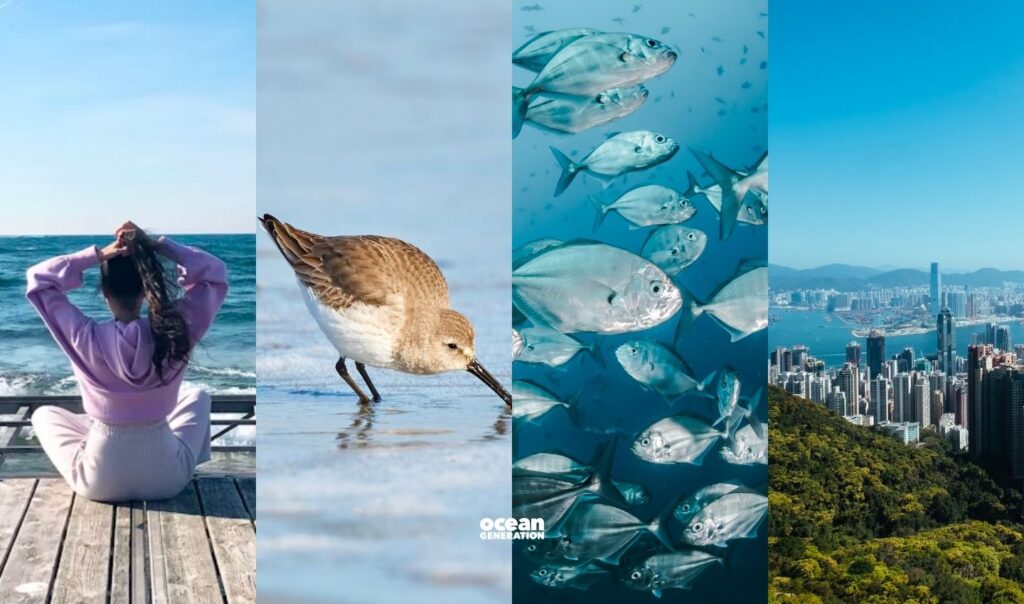 Our Ocean provides air, water, food and shelter for our survival.