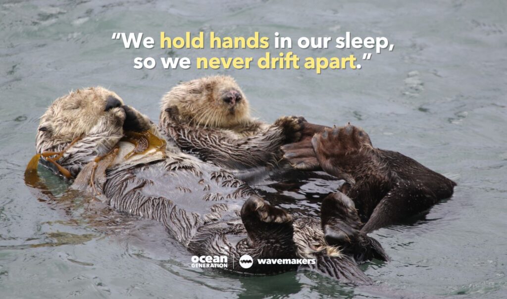 Otters hold hands in their sleep so they never drift apart.