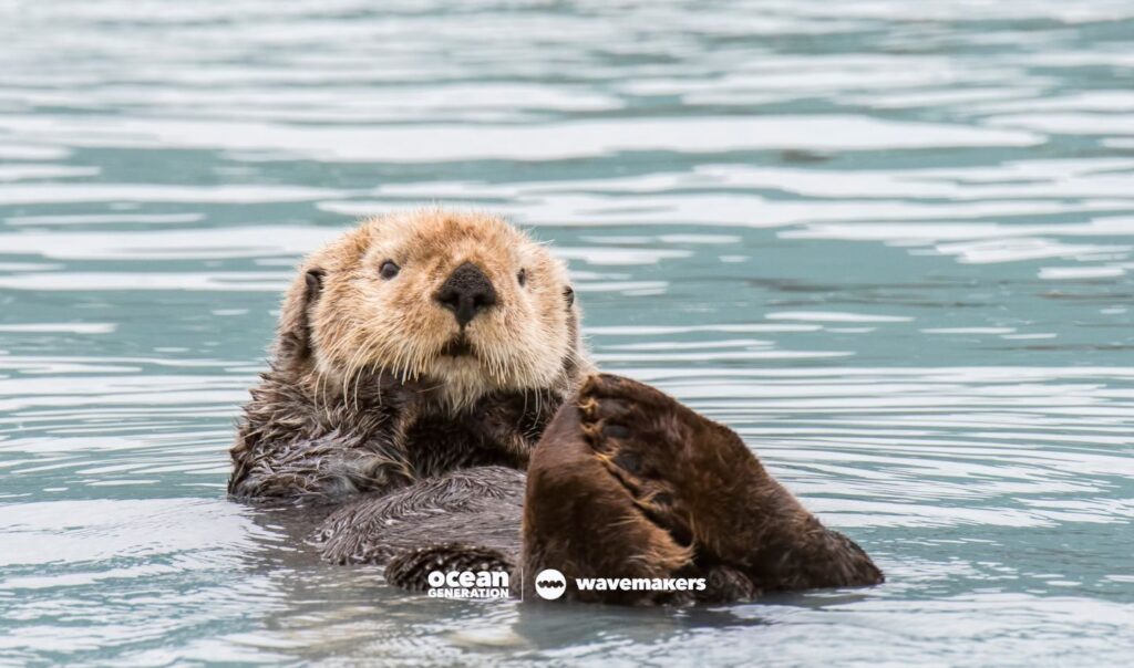 Our actions, big or small, impact our blue planet.