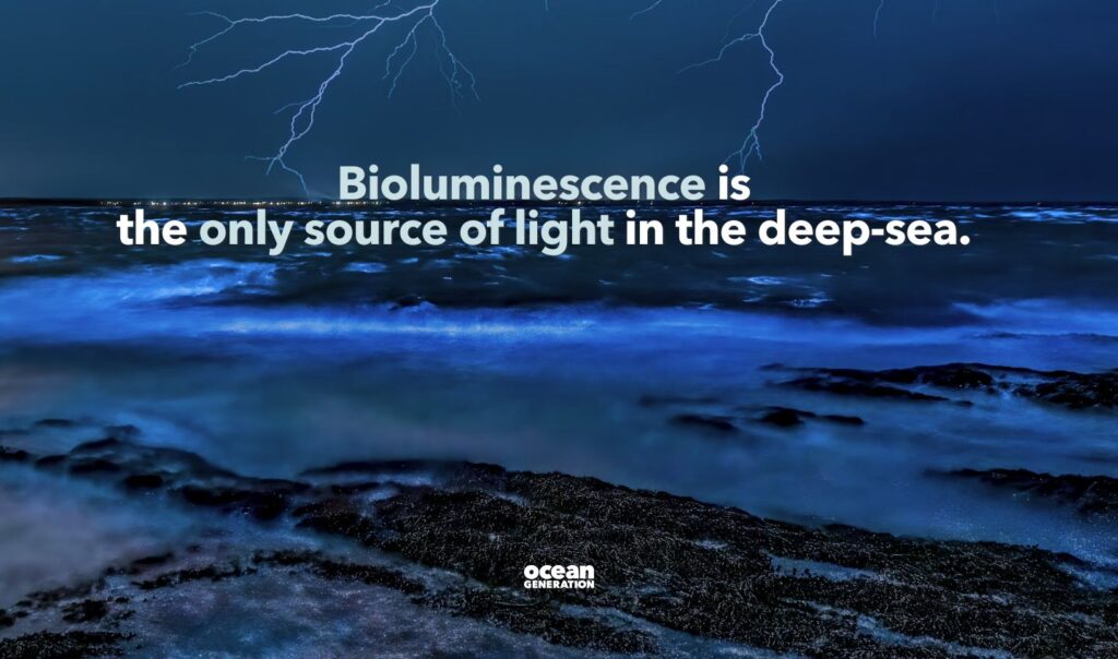 Bioluminescence is the only source of light in the deep Ocean.