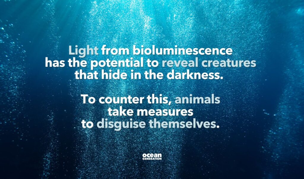 Light from bioluminescence
has the potential to reveal creatures
that hide in the darkness. Posted by Ocean Generation.