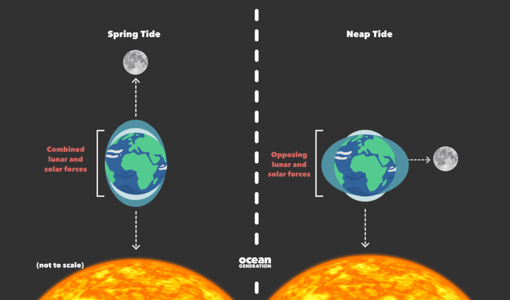 Spring tides and neap tides explained.
