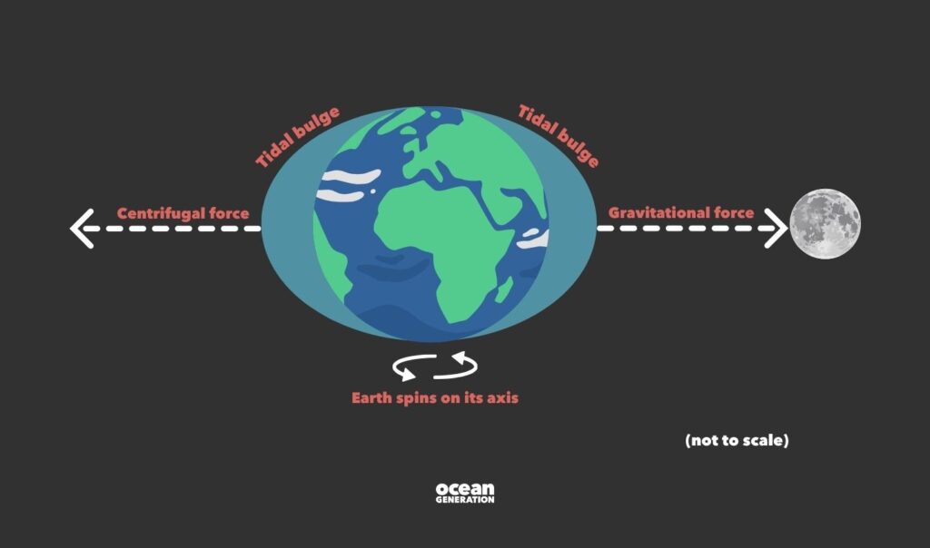 To understand how Ocean tides work we have to look up to space.