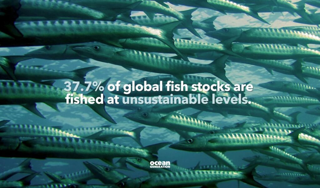 37.7 percent of global fish stocks are fished at unsustainable levels. Posted by Ocean Generation.