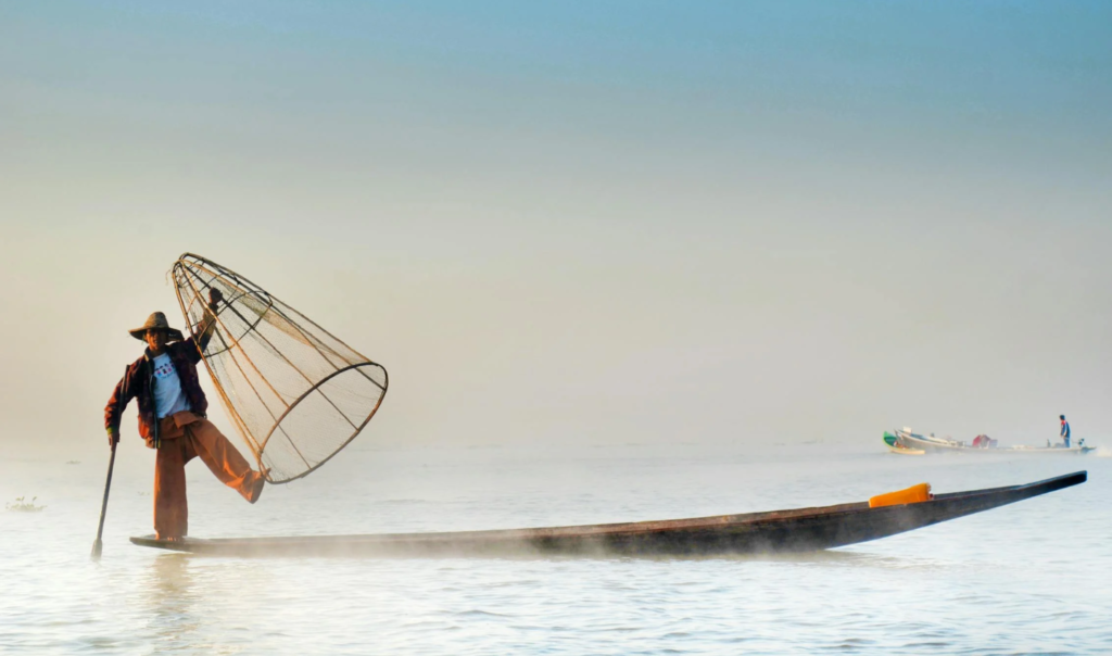 The impact of overfishing and what you can do about it: Explained by Ocean Generation.