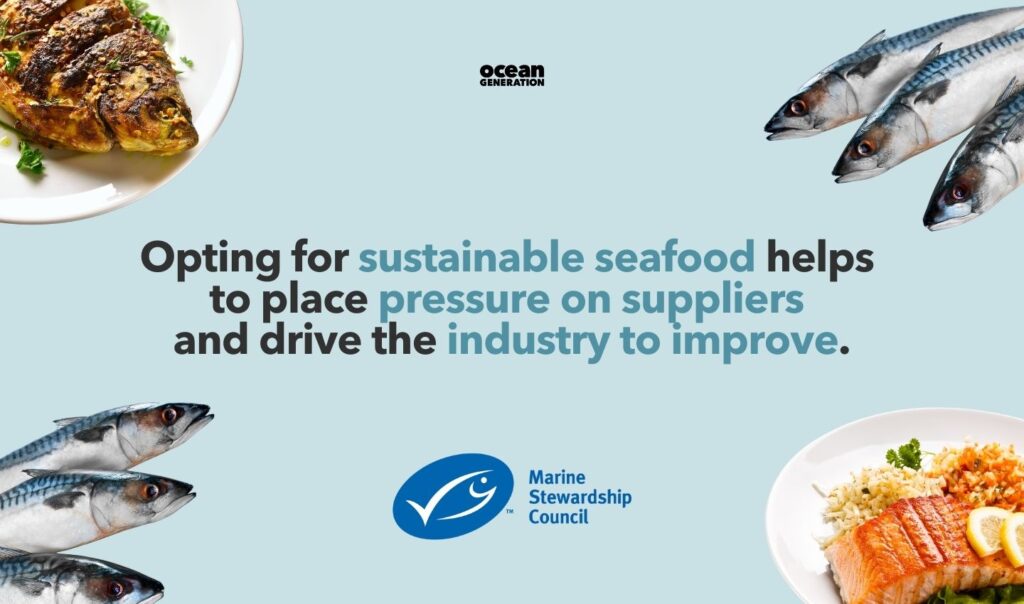 Opting for sustainable seafood helps the industry to improve. Posted by Ocean Generation