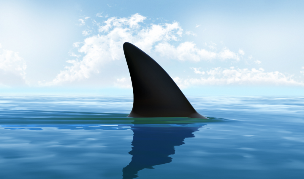 Rethinking the shark stereotype. Posted by Ocean Generation