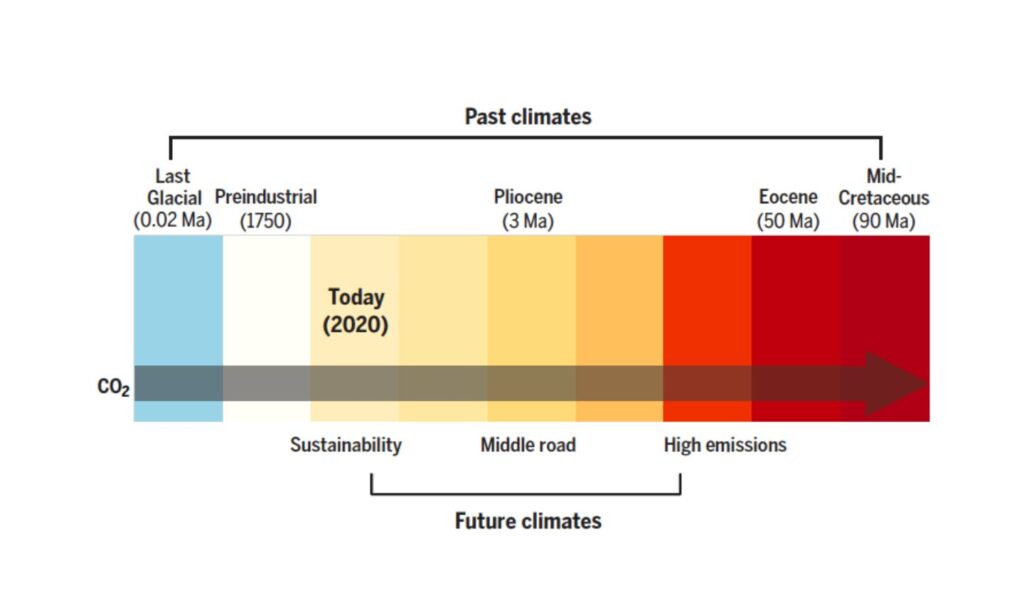 Are past climates mirror of future events?