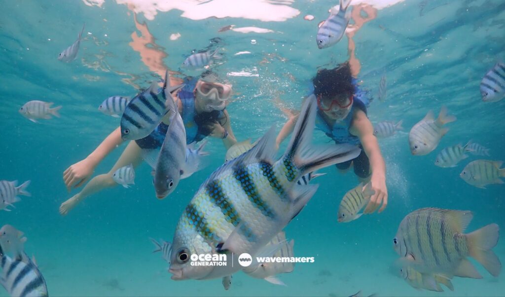 Sea creatures such as sharks have made reappearances in Thailand.