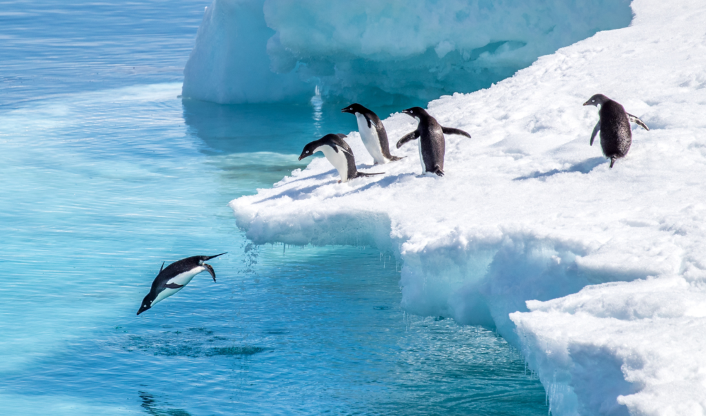 What can Antarctic ice cores tell about the history of climate
