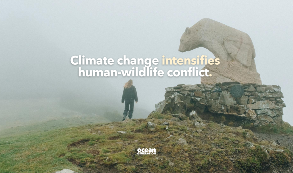 Climate change intensifies human-wildlife conflict. Posted by Ocean Generation, leaders in Ocean education.