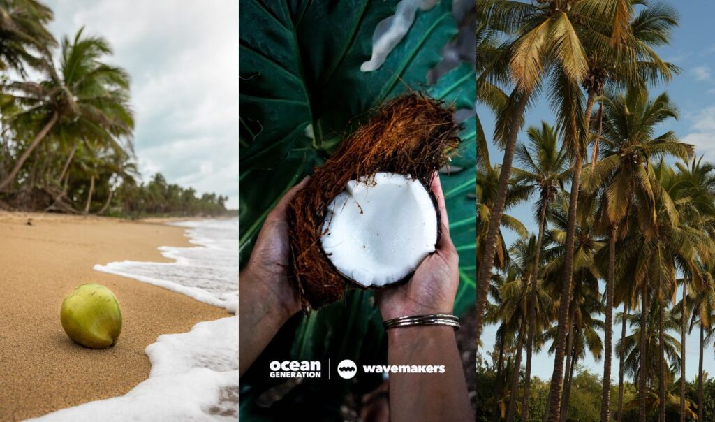 Narali Purnima festival in India is dedicated to the god of the Ocean. A Wavemaker Story, posted by Ocean Generation.