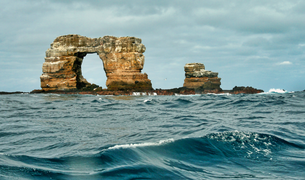 Charles Darwin’s Galapagos Voyage and Theory of Evolution. Posted by Ocean Generation.