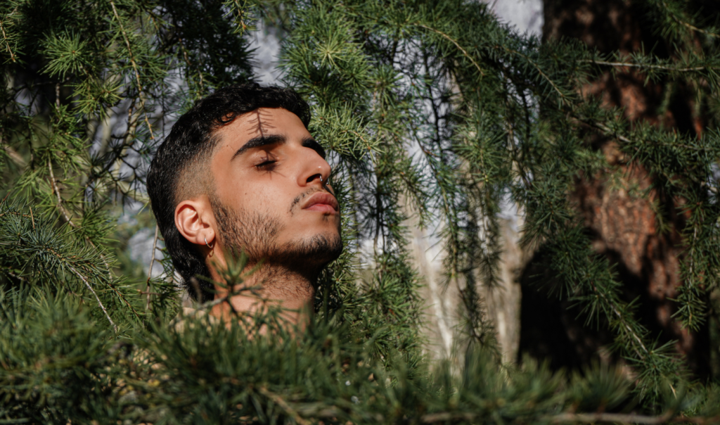 Peaceful man in the forest, surrounded by trees. Image via Ocean Generation in an article about imperfect environmentalism.