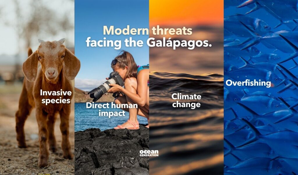 Modern threats facing the Galapagos, posted by Ocean Generation.
