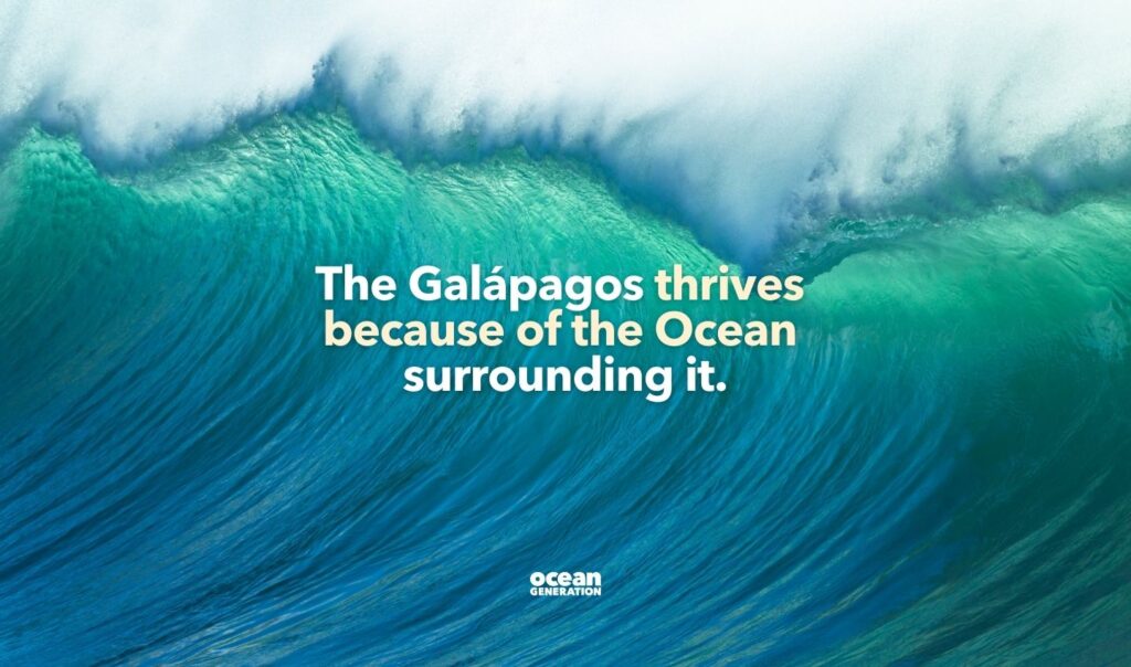 The Galapagos thrives because of the Ocean