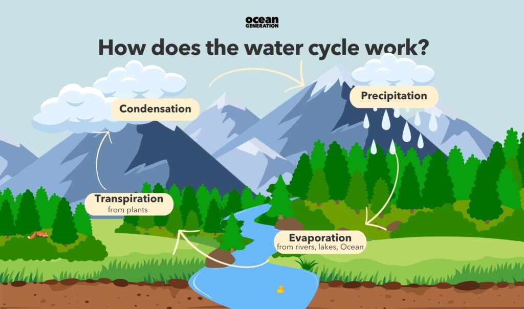 How does the water cycle work? Explained by Ocean Generation.