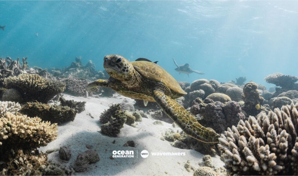 Leaving a positive footprint while travelling. Posted by Ocean Generation.
