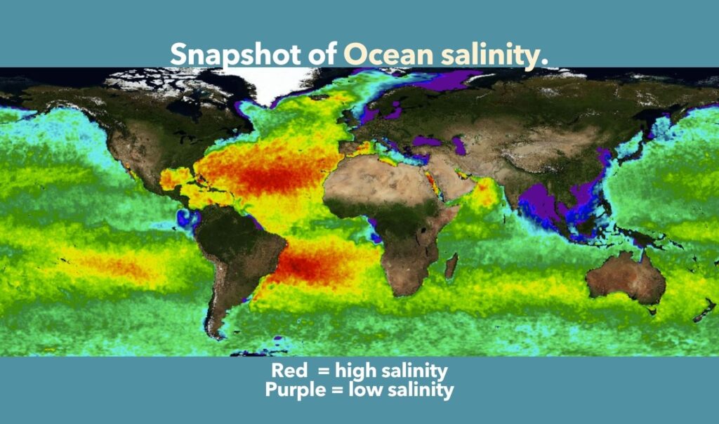 Snapshot of Ocean salinity
