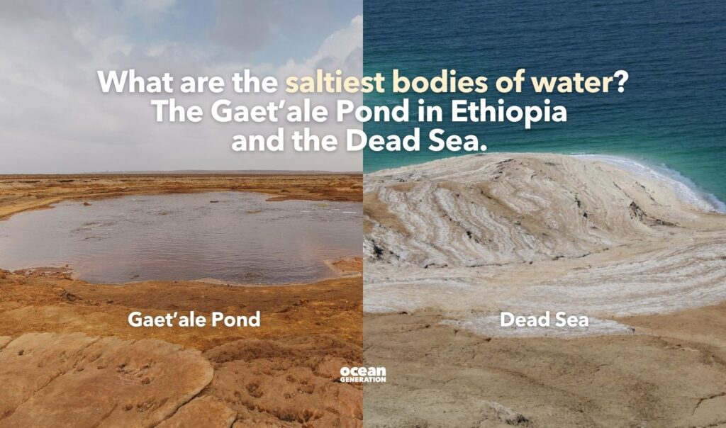 The saltiest bodies of water on Earth