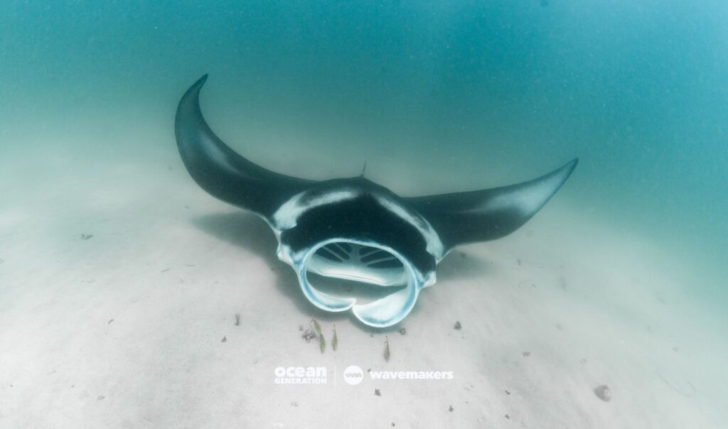 What is eco-tourism? Wavemaker Story, posted by Ocean Generation.