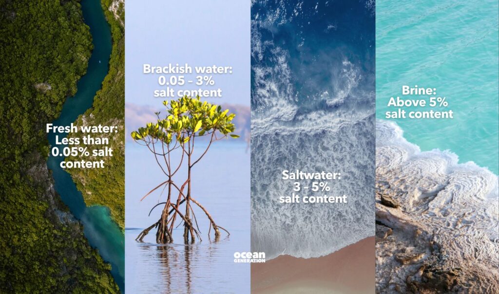 Where does the salt in the Ocean come from: Explained by Ocean Generation.