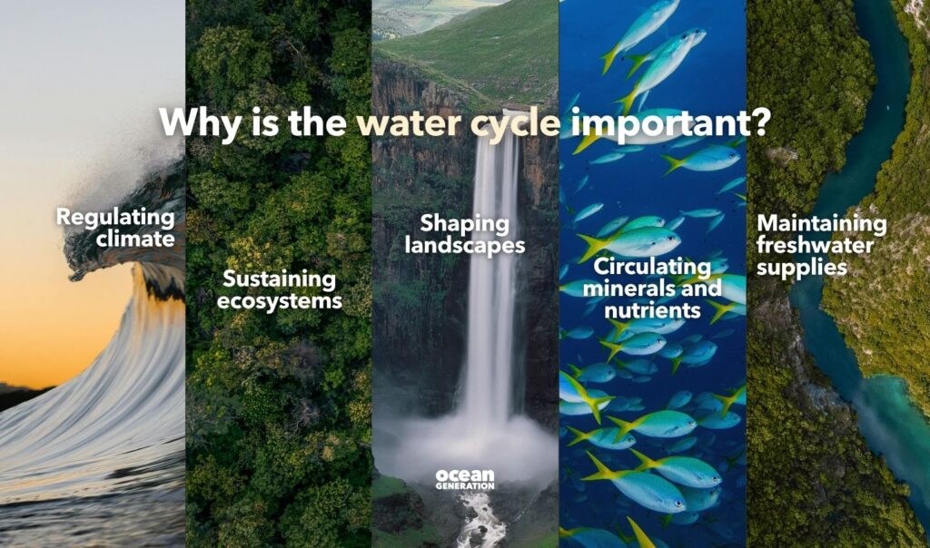 Why is the water cycle important? Explained by Ocean Generation.