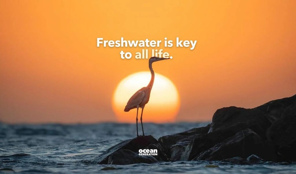 Freshwater is key to all life on Earth. Posted by Ocean Generation.
