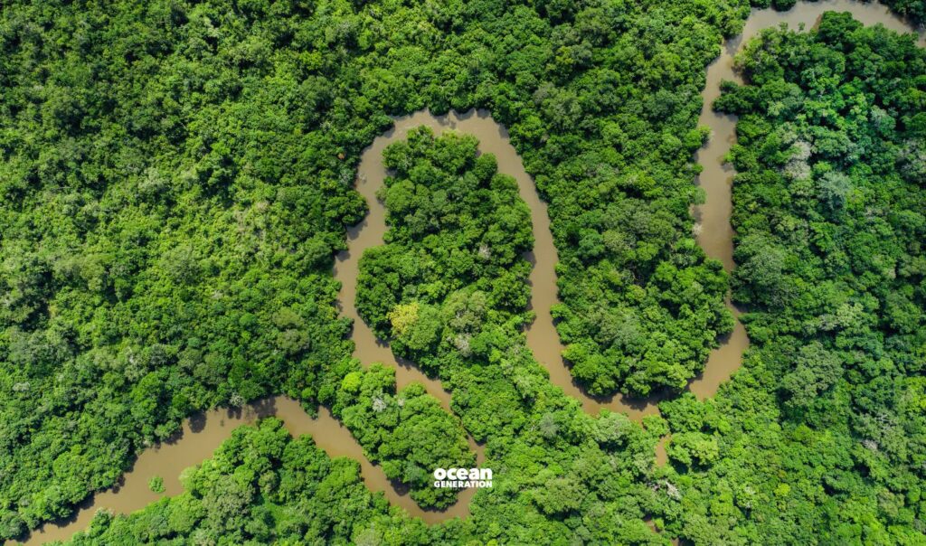 Why do rivers matter? Posted by Ocean Generation, leaders in Ocean education.