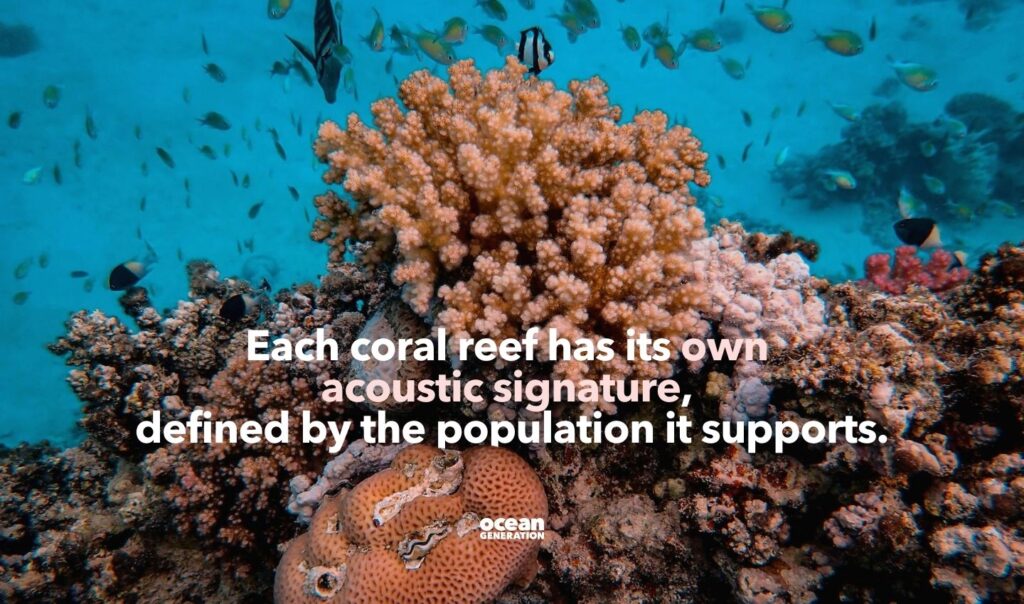 Each coral reef has its own acoustic signature. Explained by Ocean Generation, leaders in Ocean education.