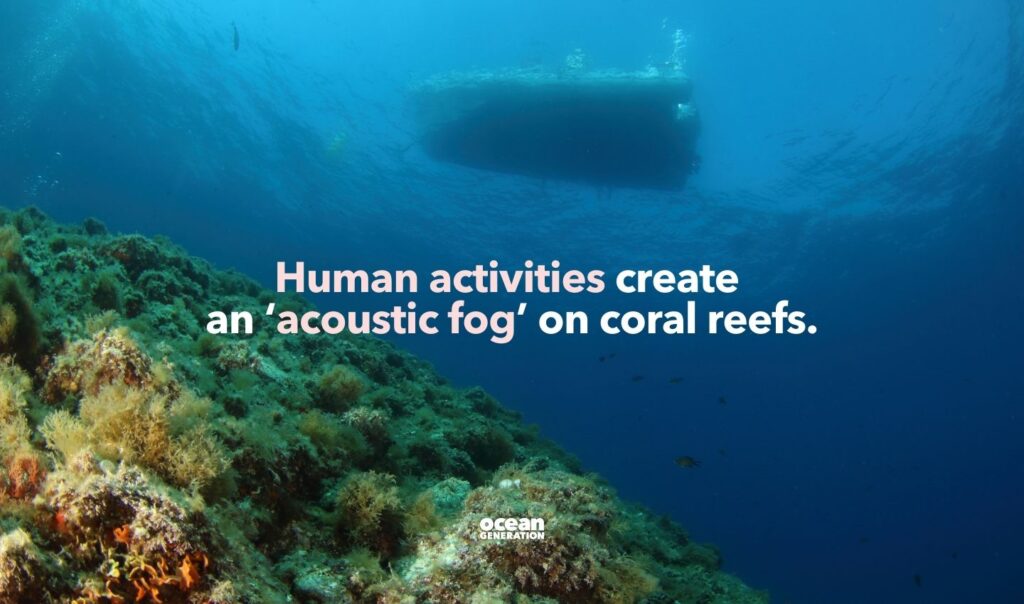 Human activities create acoustic fog.