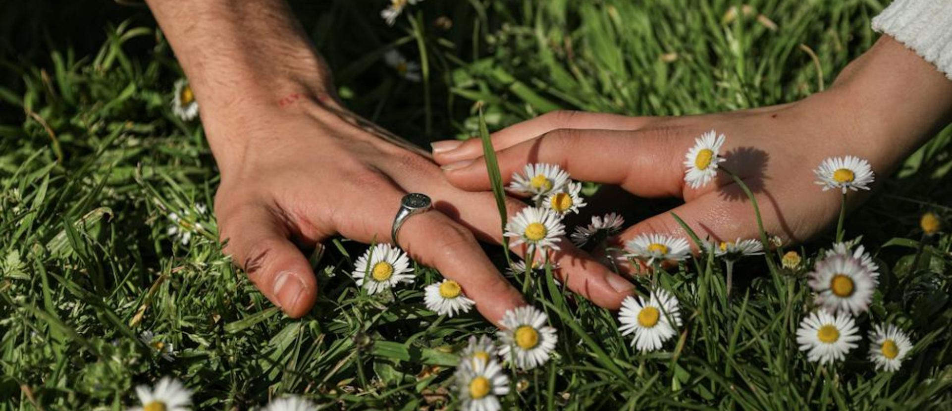 Why doing what we can for the environment is enough? A Wavemaker Story.