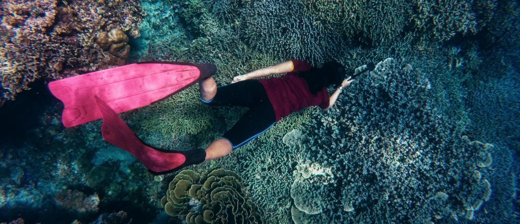 Why is the sound of coral reefs important? Explained by Ocean Generation.