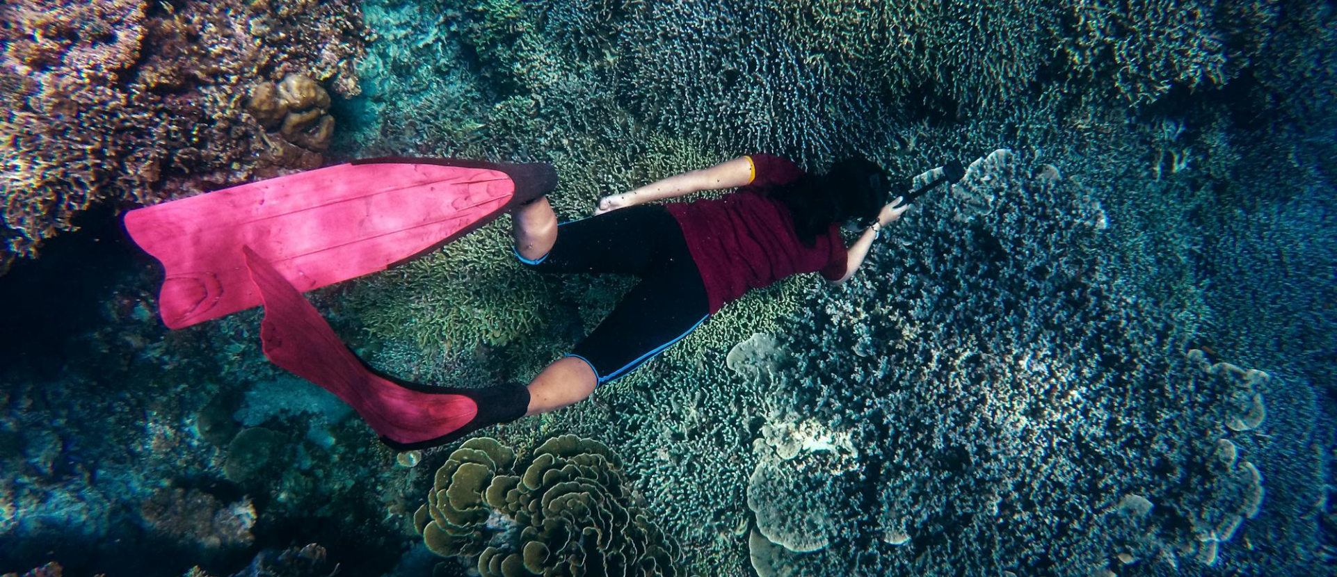Why is the sound of coral reefs important? Explained by Ocean Generation.