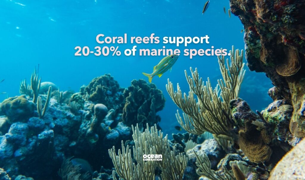 Coral reefs support 25-30% of marine species.