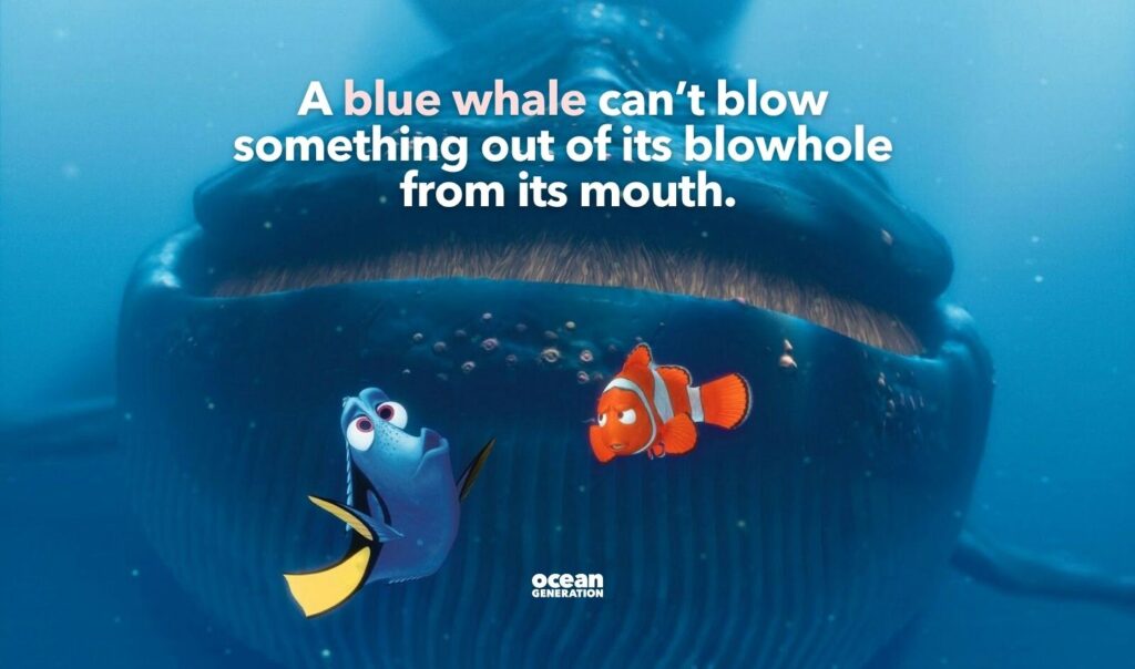 A blue whale can't blow something out of its blowhole from its mouth.